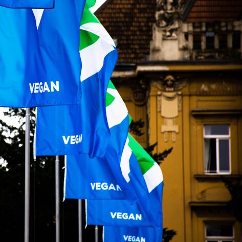 Croatia’s Capital City Outfitted in Vegan Flags and Colors for World Vegan Day