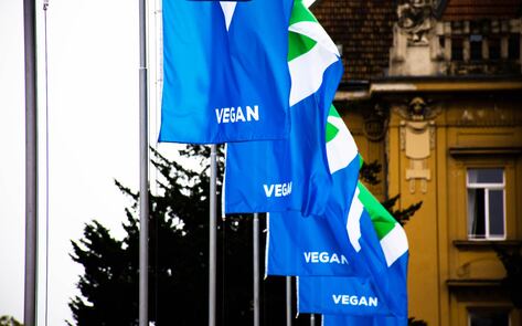 Croatia’s Capital City Outfitted in Vegan Flags and Colors for World Vegan Day