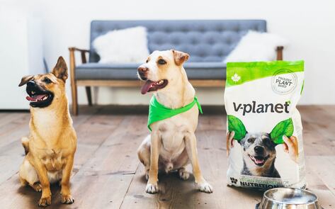 Vegan Dog Food Brand Launches in Japan to Help 9 Million Dogs Go Vegan