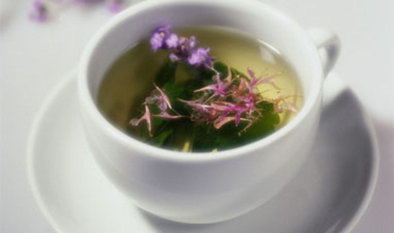 Green Tea for Better Health