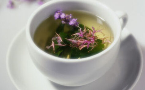 Green Tea for Better Health