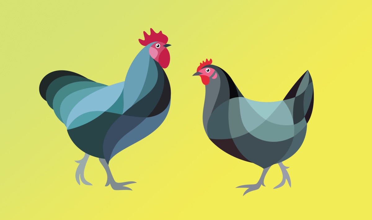 Can We Make Exact Vegan Replicas of Chicken Breasts and Fish Fillets? This Global Contest is Betting $15 Million On It - Vimarsana News