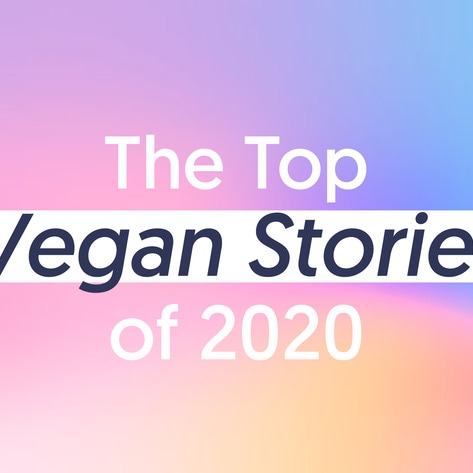 The Top 20 Vegan Stories of 2020