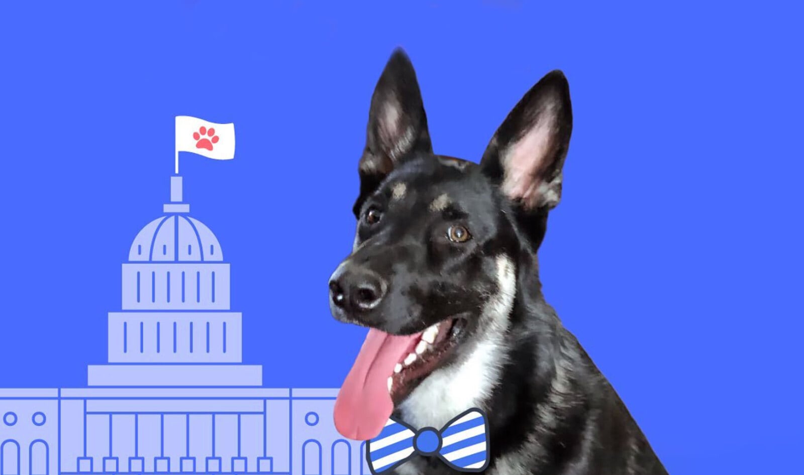Biden’s Pup Will Have His Own “Indoguration” as First Shelter Dog at White House 