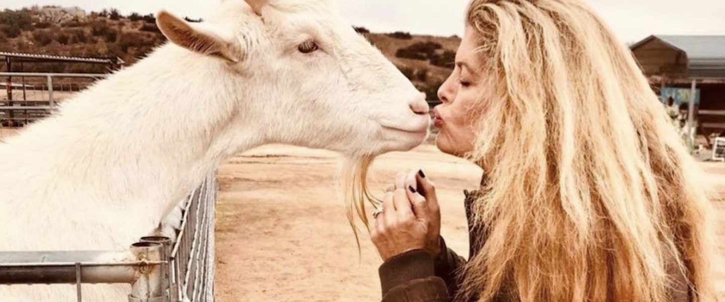 8 Inspiring Vegans Over 50