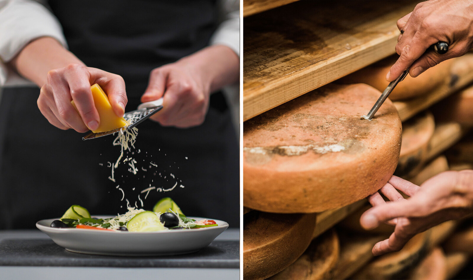 This Scientist Is Developing the Perfect Milk for Vegan Cheesemaking