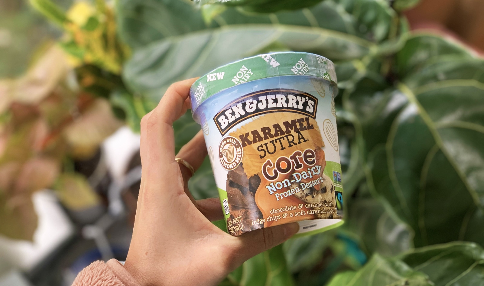 Ben &amp; Jerry's Just Launched Its 17th Vegan Flavor: Dairy-Free Karamel Sutra