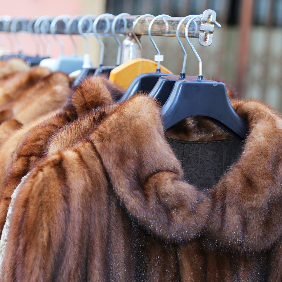 Legislation to Ban Fur Was Just Introduced in Oregon