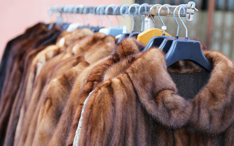 Legislation to Ban Fur Was Just Introduced in Oregon