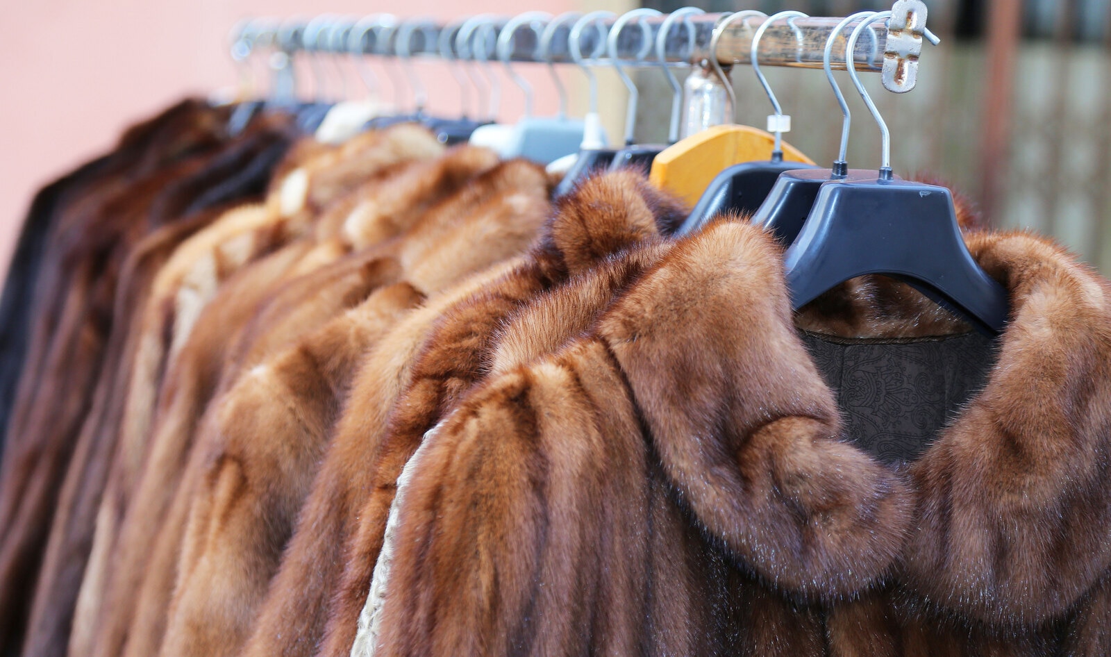 Legislation to Ban Fur Was Just Introduced in Oregon