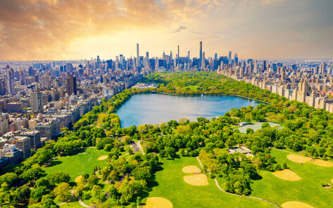 NYC Mayor’s Office Urges New Yorkers to Slash Beef by 50 Percent