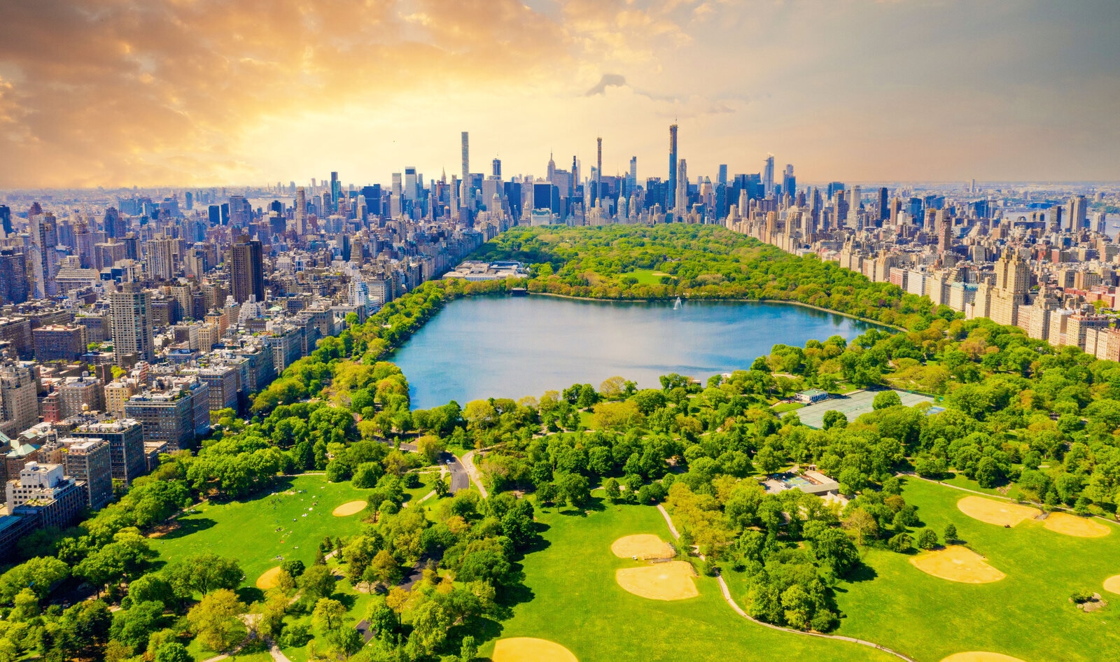 NYC Mayor’s Office Urges New Yorkers to Slash Beef by 50 Percent