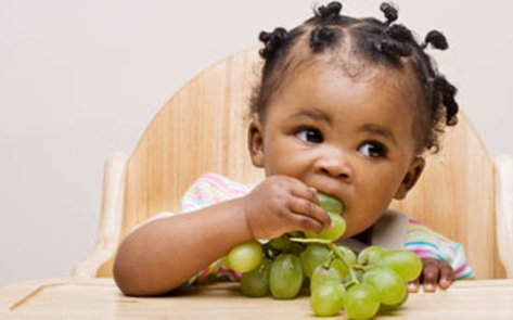 Children Benefit from Companion Animals, Study Says