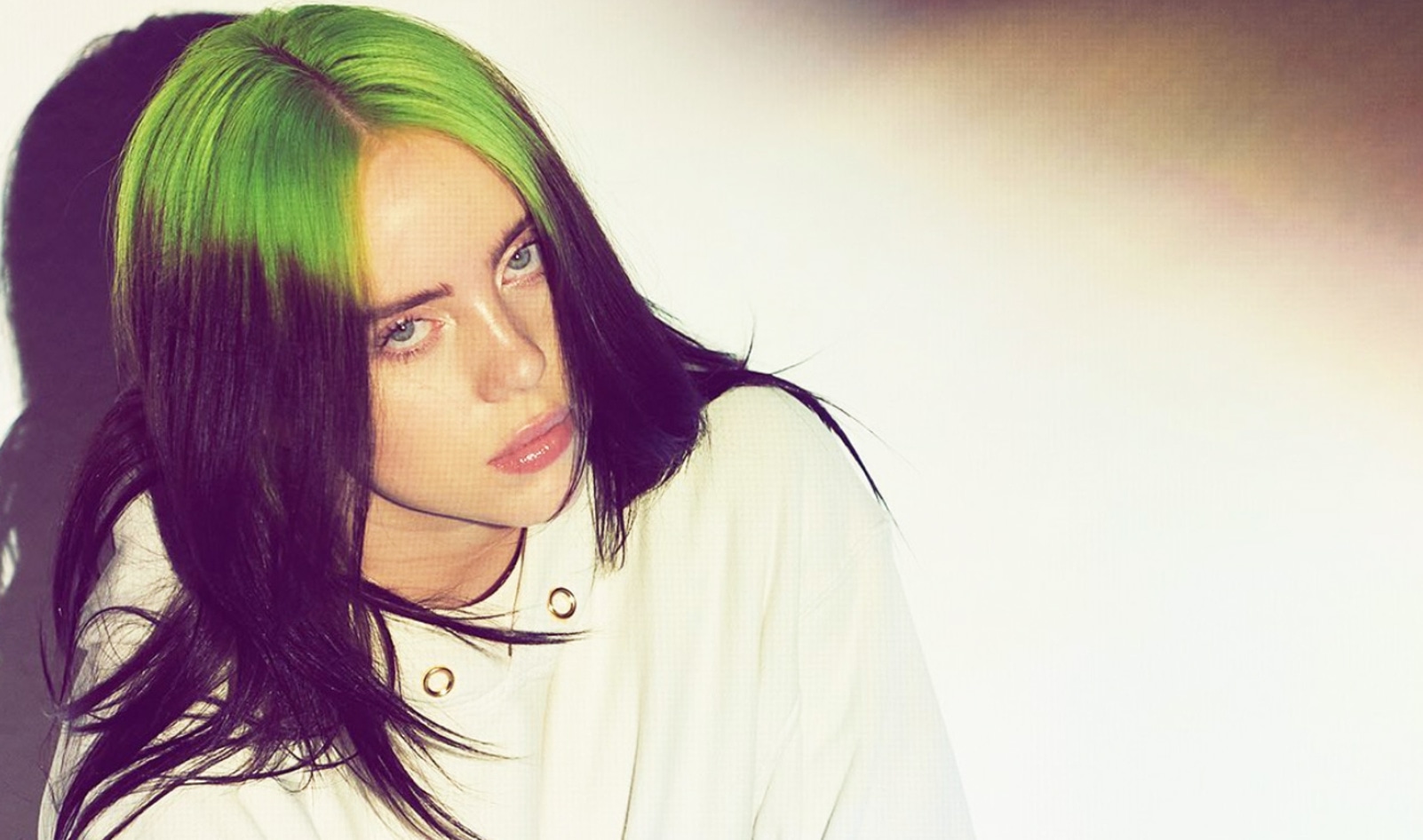 Billie Eilish Documentary Just Launched