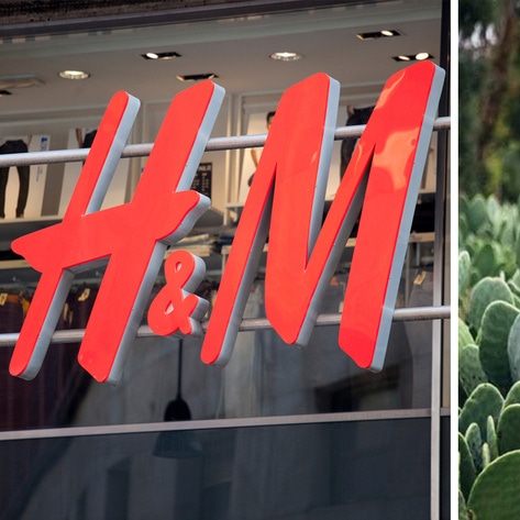 Vegan Cactus Leather Is Coming To H&M