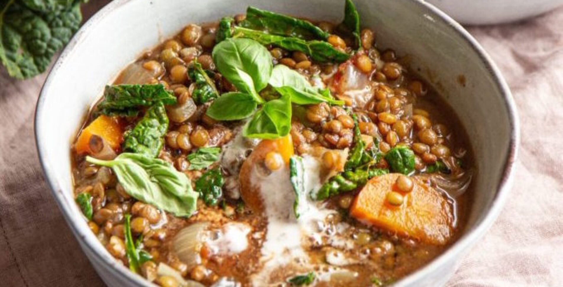 French Lentil and Plant-Based Kale Stew