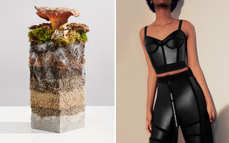 Stella McCartney Unveils World’s First Vegan Mushroom Leather Pants 