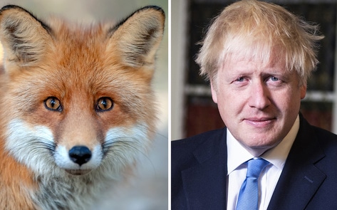 UK’s Leading Luxury Fashion Labels Demand Boris Johnson Ban Fur