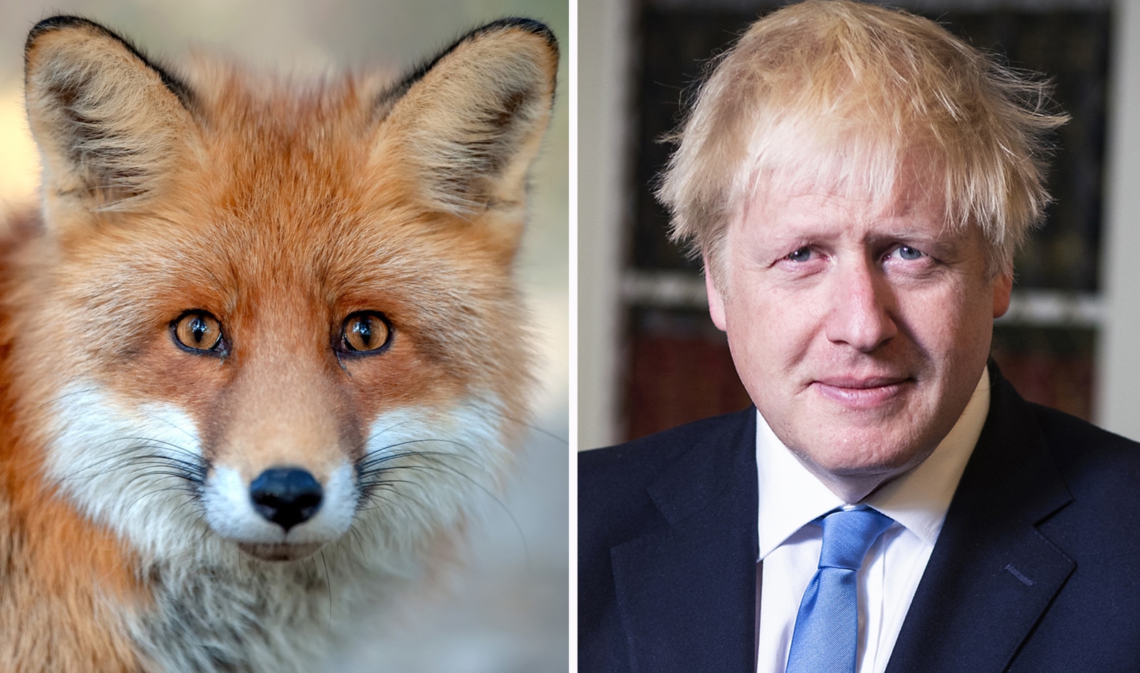 UK’s Leading Luxury Fashion Labels Demand Boris Johnson Ban Fur
