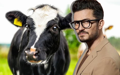 Orlando Bloom Is 90-Percent Vegan Because “Cows are Beautiful”