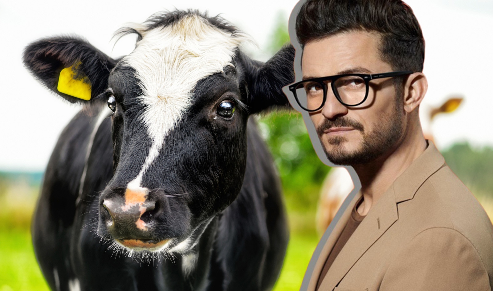 Orlando Bloom Is 90-Percent Vegan Because “Cows are Beautiful”
