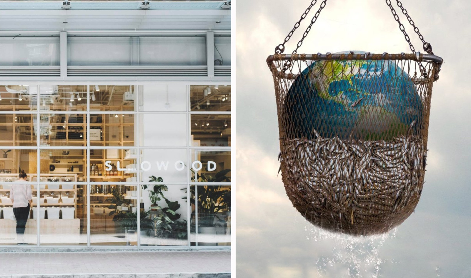 Netflix Documentary <i>Seaspiracy</i> Inspires Grocery Store to Stop Selling Fish 