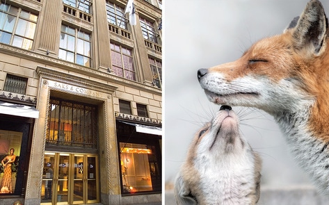 Saks Fifth Avenue Just Banned Fur