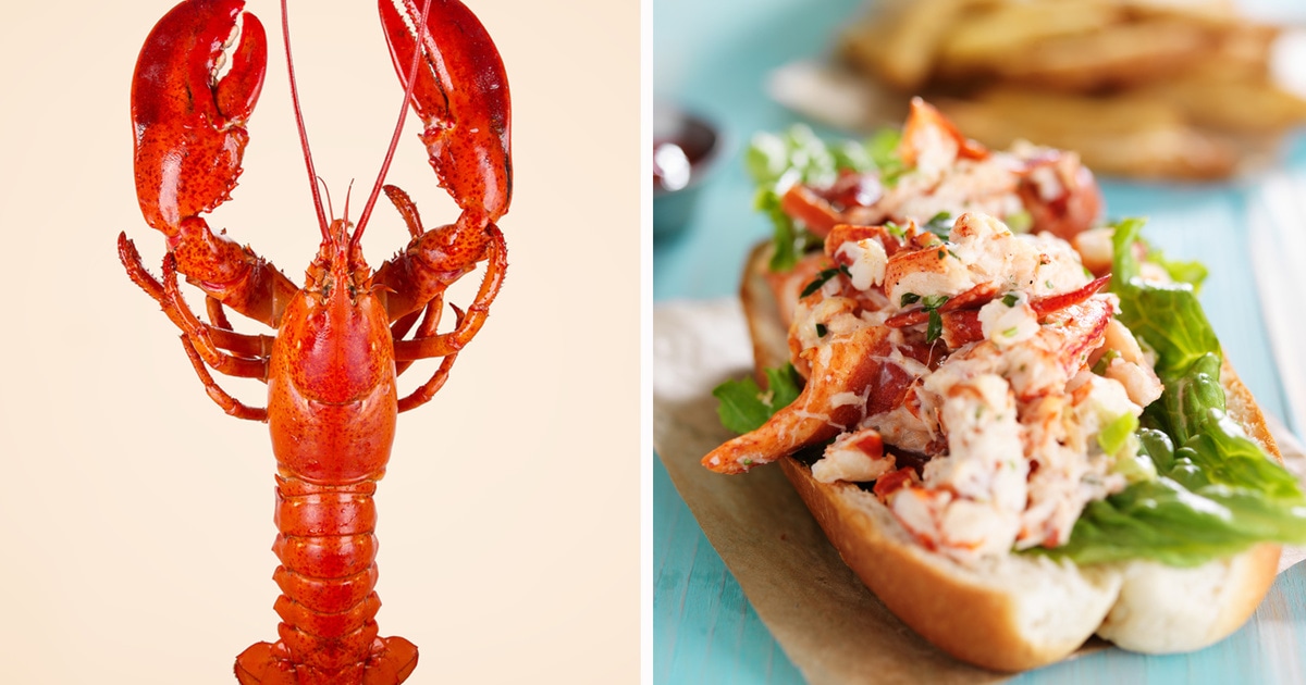 This Midwest Startup Just Raised 1.6 Million to Make LabGrown Lobster