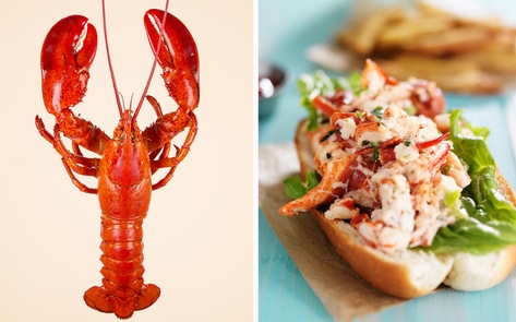 This Midwest Startup Just Raised $1.6 Million to Make Lab-Grown Lobster
