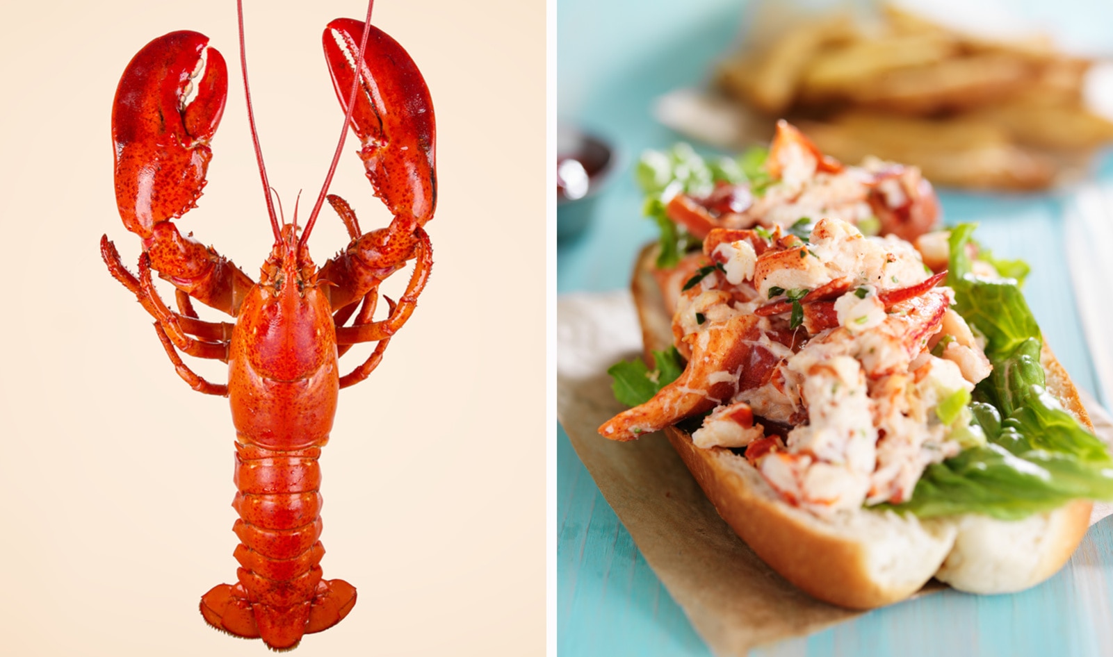 This Midwest Startup Just Raised $1.6 Million to Make Lab-Grown Lobster