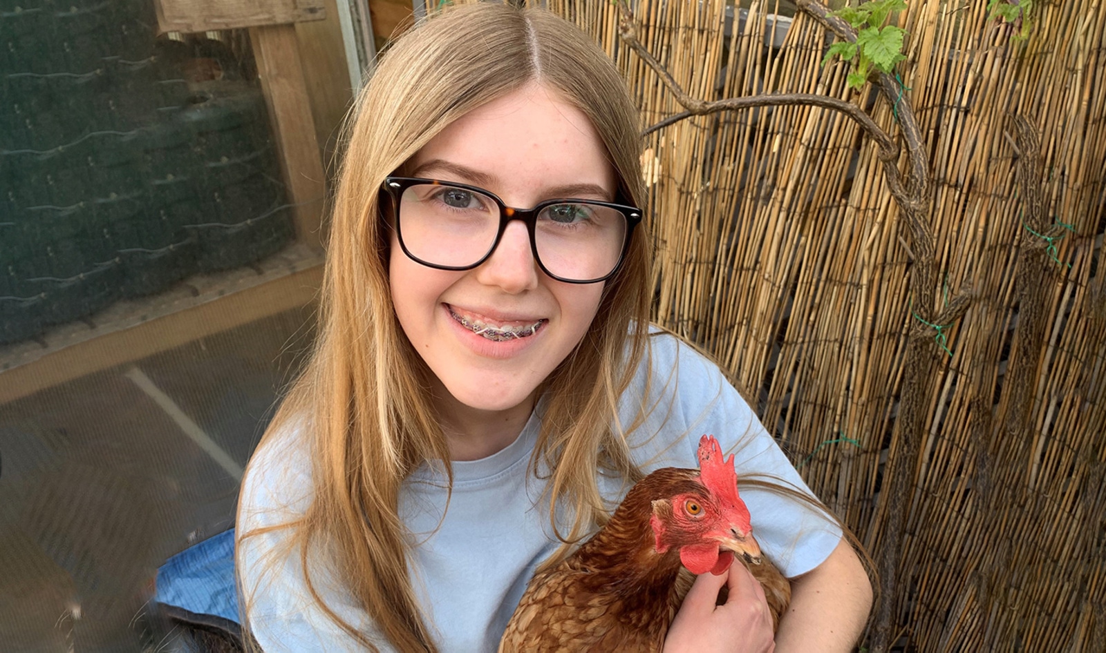 Vegan Farming Student Wins Case Against College, Will Not Be Required to Watch Bull Castration
