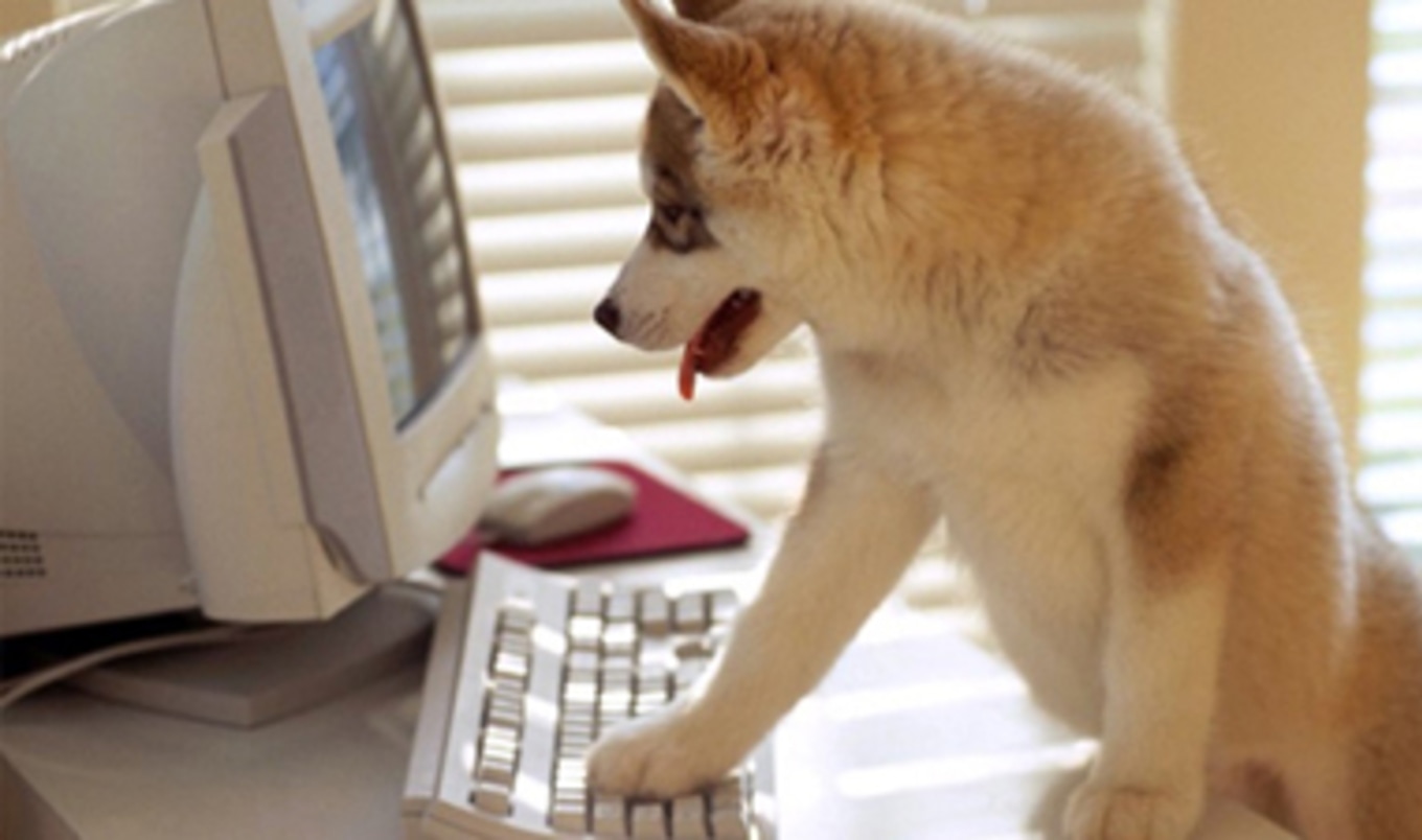 Buzzfeed Chairman to Launch Animal-Related Website