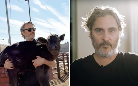Joaquin Phoenix Shares Emotional Story of Rescuing Cows from a “Factory of Death”