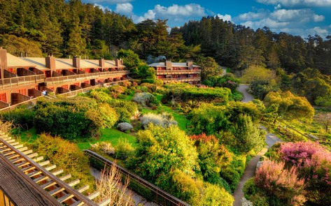 7 Best Hotels for Vegans in America 