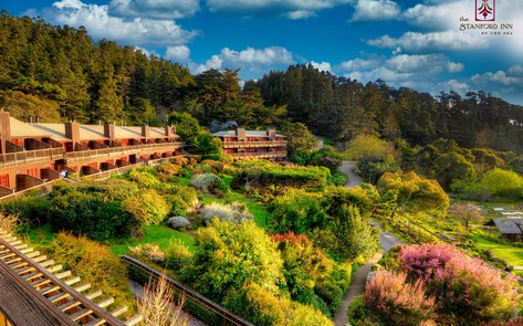 7 Best Hotels for Vegans in America 