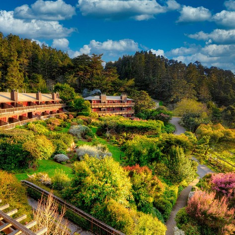 7 Best Hotels for Vegans in America 