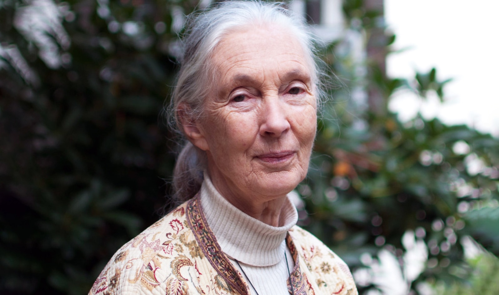 Jane Goodall to Receive Award for 60 Years of Animal Service. Here’s What She’s Done