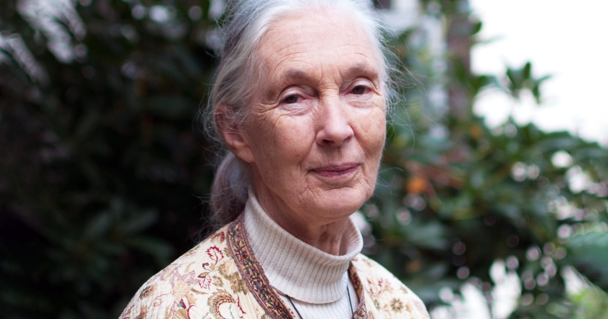 Jane Goodall May Be Remembered for Her Work With Chimpanzees, but Her Legacy Is Fighting Factory Farming