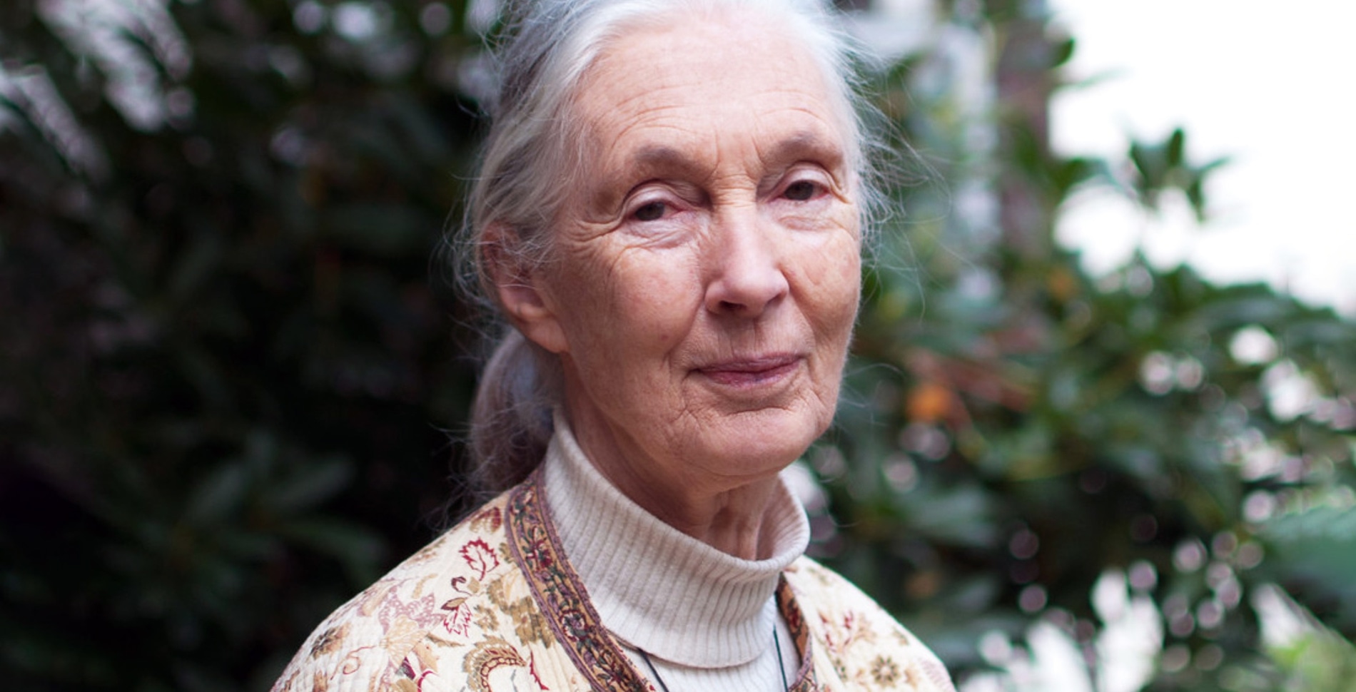 Jane Goodall May Be Remembered for Her Work With Chimpanzees, But Her Real Legacy Is Fighting Factory Farming