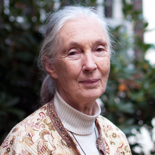 Jane Goodall May Be Remembered for Her Work With Chimpanzees, But Her Legacy Is Fighting Factory Farming