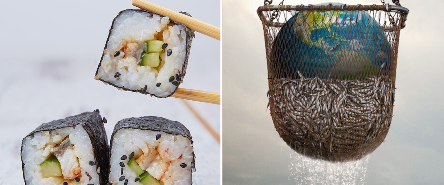 These 10 Fish Facts Will Make You Swear Off Seafood Forever&nbsp;