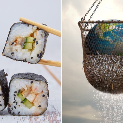 These 10 Fish Facts Will Make You Swear Off Seafood Forever 