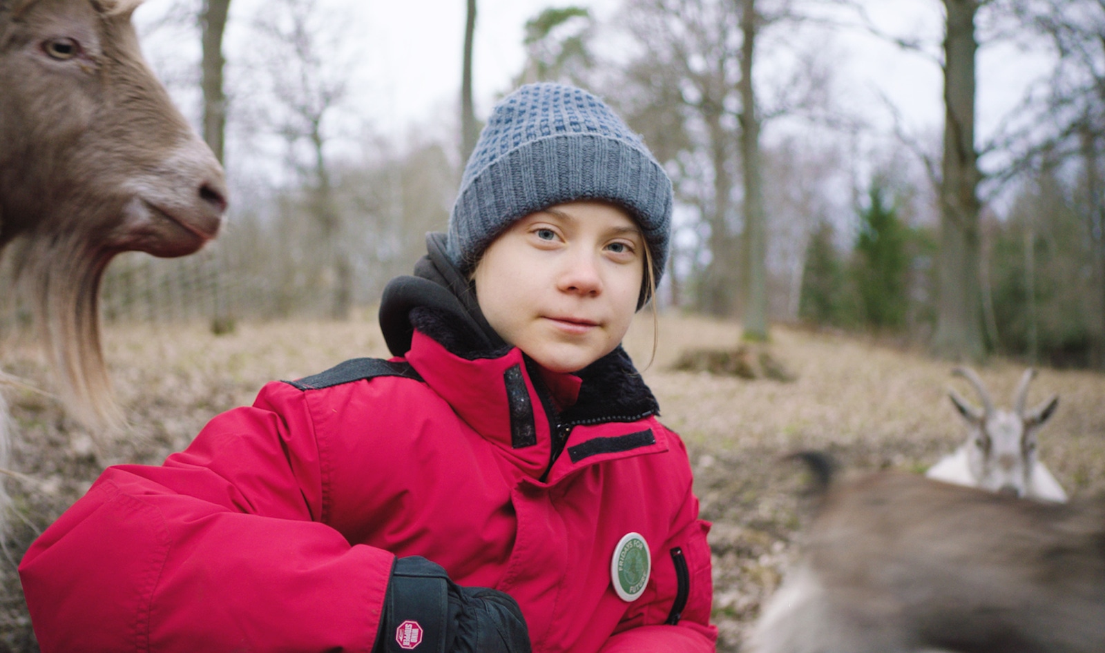 Greta Thunberg in New Film: If We Don’t Stop Exploiting Animals, “We Are F*cked” 