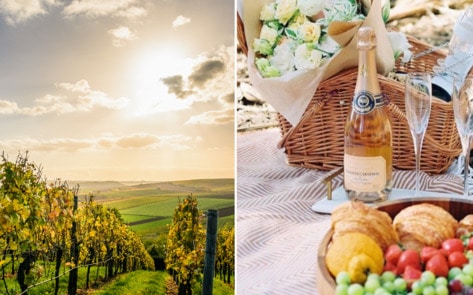 A Vegan Guide to Napa and California's Wine Country 