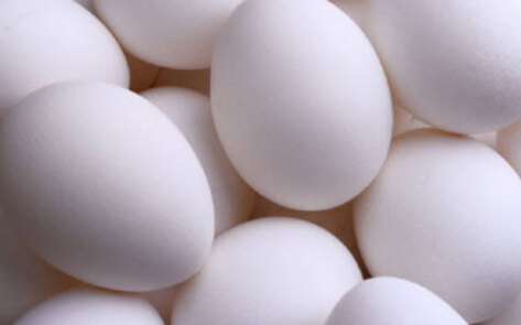 FDA Warns Egg Producers