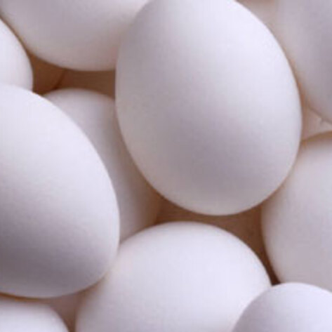 Companies Recall Egg Products