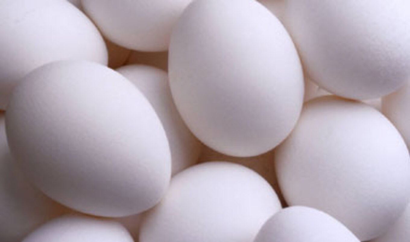 FDA Investigate Egg Industry