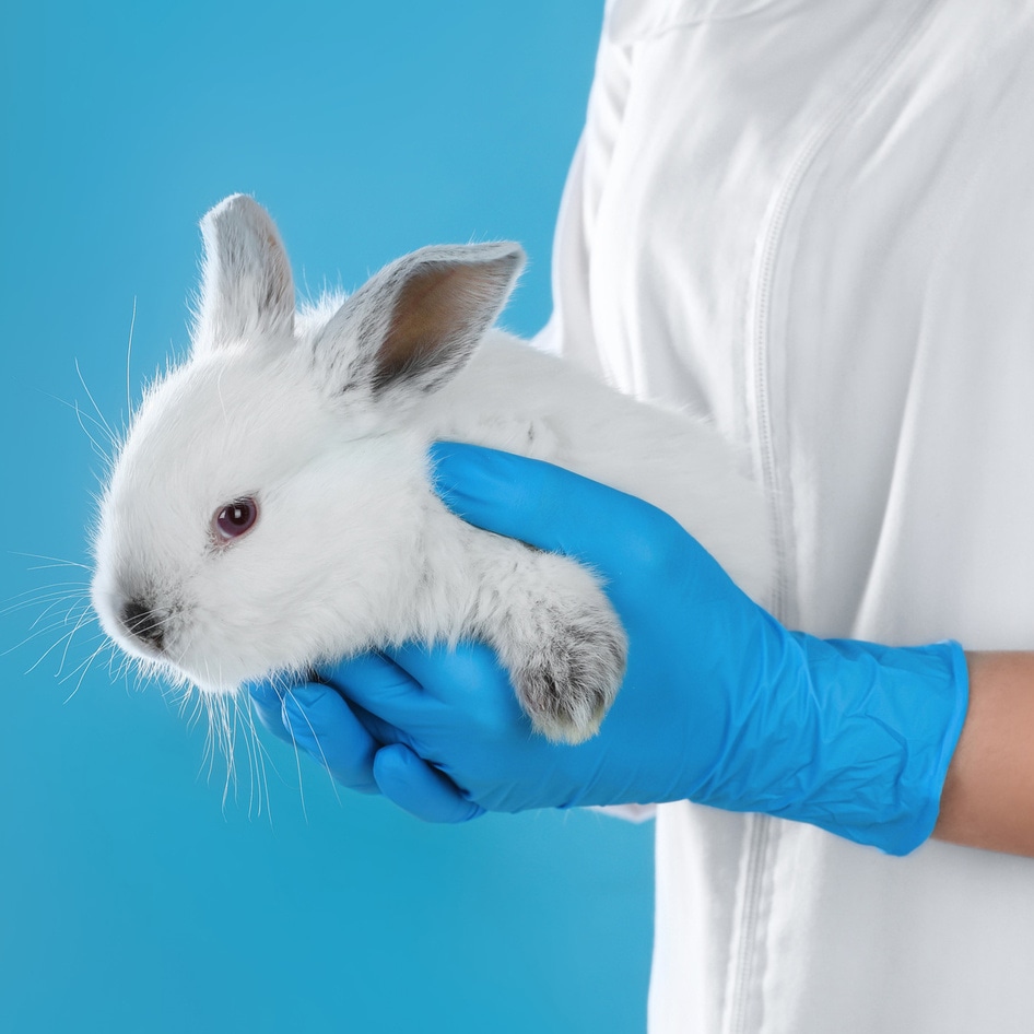 Maine Just Became the Sixth State to Ban Sales of Cosmetics Tested on Animals 