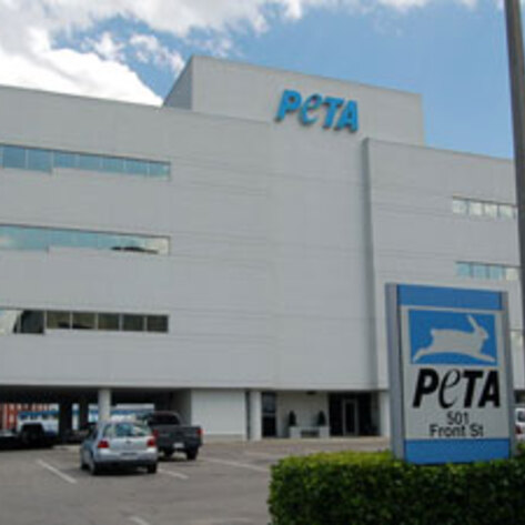 PETA in the Middle East