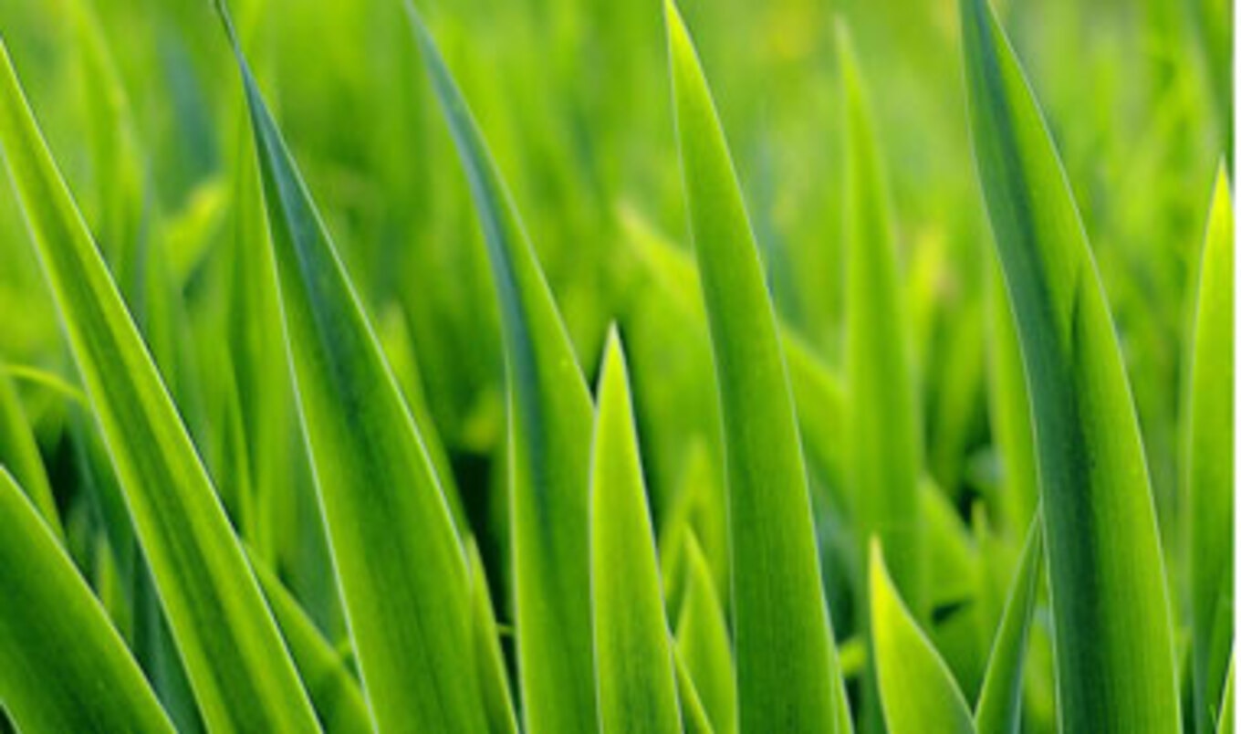 Sustainable "Clip-On" Room